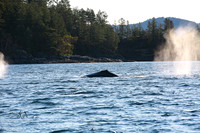 Beauty of Canada's Vancouver Island
