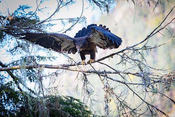 Beauty of Canada's Vancouver Island