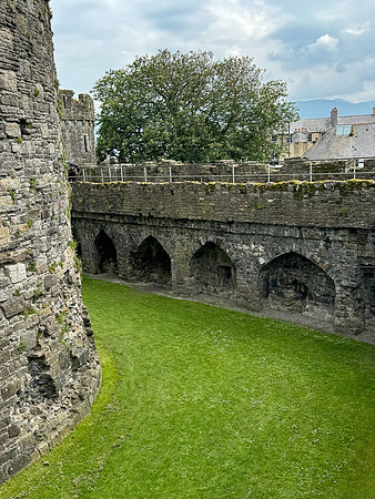 IMG_9920