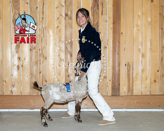Ashlyn Corbell-1175