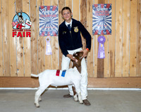 Allison Johanson-1194