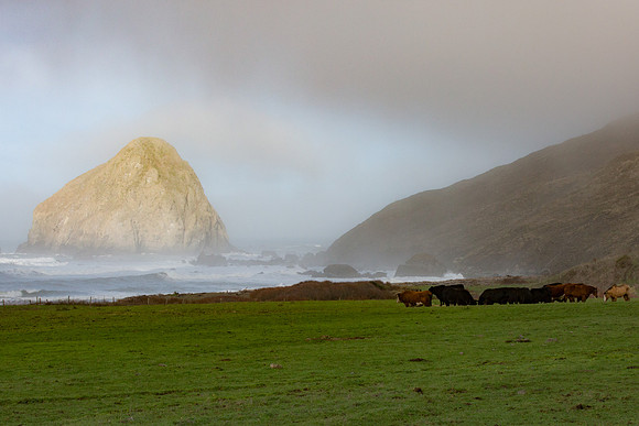 Coastal Ranching