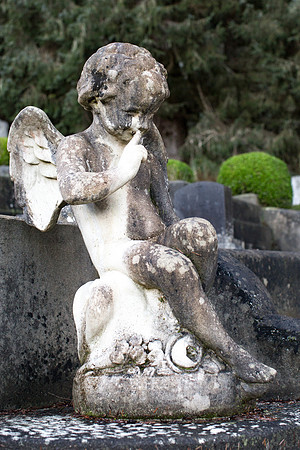 Cemetery Angel