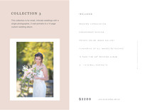 Wedding Pricing Collection 3  2022 copy