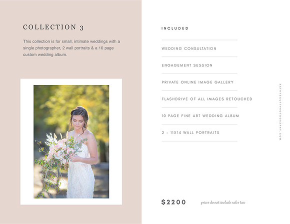Wedding Pricing Collection 3  2022 copy