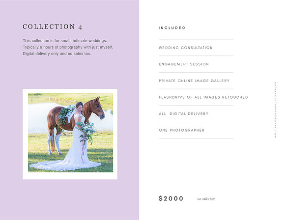 Wedding Pricing Collection 4 2022 copy