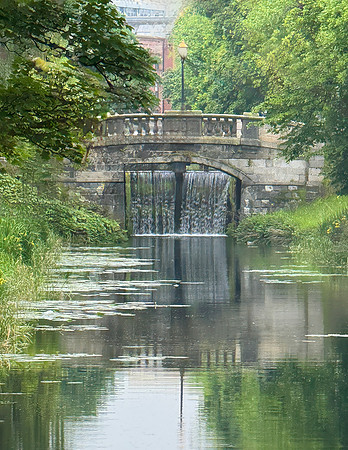 IMG_9446-2