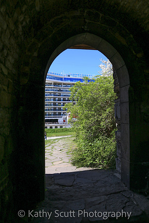 IMG_7589