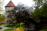 IMG_6047