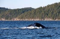 Beauty of Canada's Vancouver Island