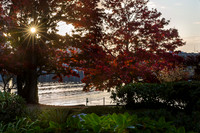 Beauty of Canada's Vancouver Island
