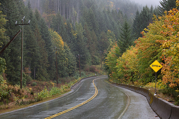 Beauty of Canada's Vancouver Island