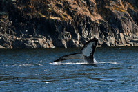 Beauty of Canada's Vancouver Island
