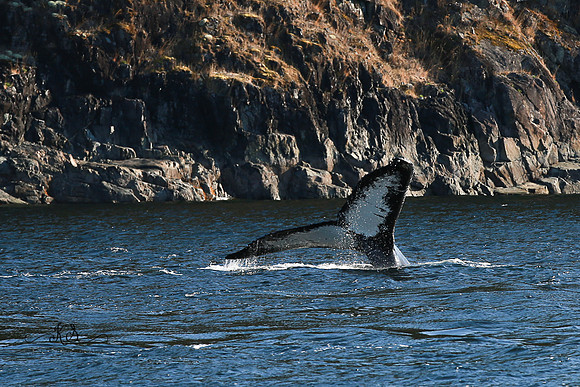Beauty of Canada's Vancouver Island