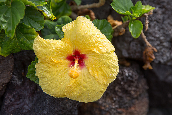 Kona, Hawaii 2032