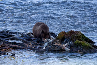 Beauty of Canada's Vancouver Island